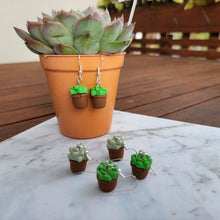 Load image into Gallery viewer, Potted Succulent Dangles
