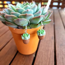 Load image into Gallery viewer, Potted Succulent Dangles
