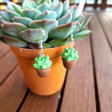 Load image into Gallery viewer, Potted Succulent Dangles
