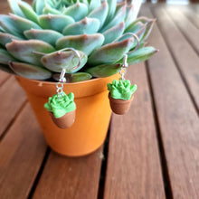 Load image into Gallery viewer, Potted Succulent Dangles
