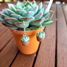 Load image into Gallery viewer, Potted Succulent Dangles
